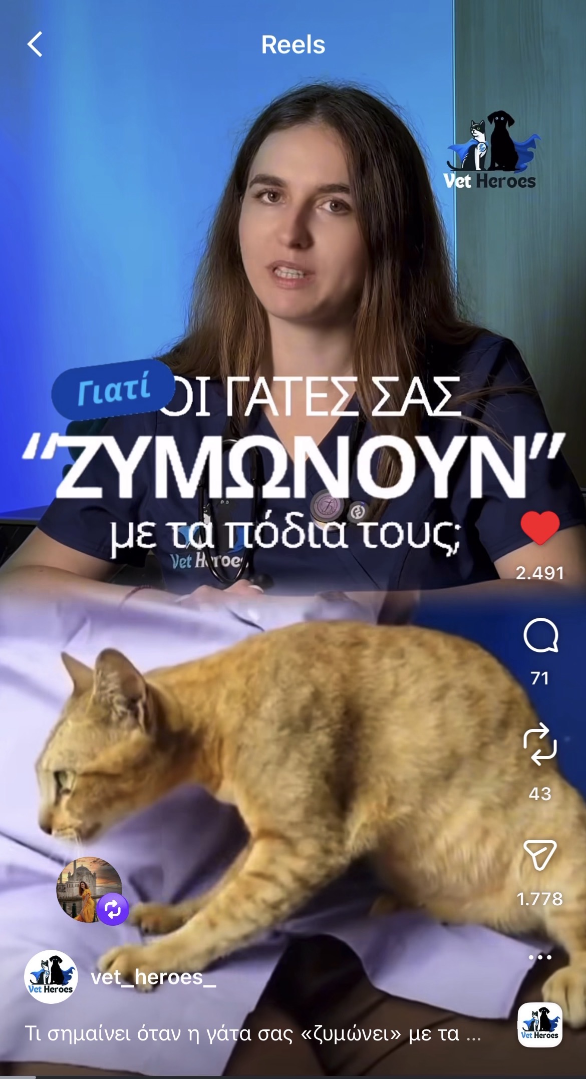 VetHeroes - Κτηνίατρος Κατ' Οίκον